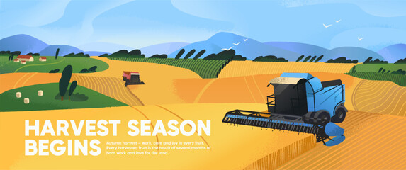 Harvesting banner design. Harvester machines gather grain in farm field. Farming machinery haymaking, pick up harvest of wheat, hay. Combines work in countryside landscape. Flat vector illustration