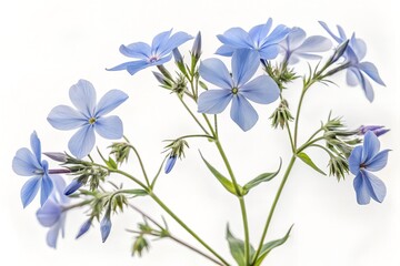 Would you like it a bit shorter or more poetic?