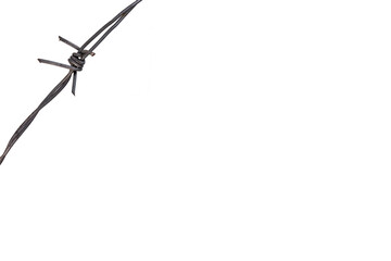 Barbed wire, prickly spike. White background. Copy space. Design element.