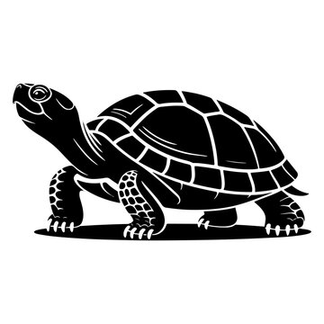 Black vector turtle icon, tortoise silhouette, reptile animal graphic, isolated on white