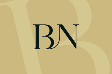 BN or NB letter logo icon design. Classic style luxury initials monogram.