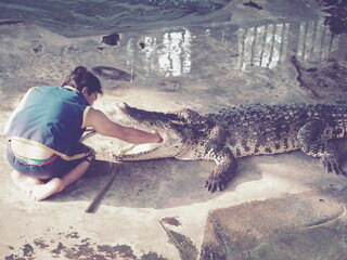 Crocodile show in Farm