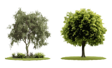 Set of Alnus rubra and Salix babylonica street trees isolated cutout, frontal view, vector illustration, urban landscaping, nature design, ecological greenery, tree silhouette. © aura studio
