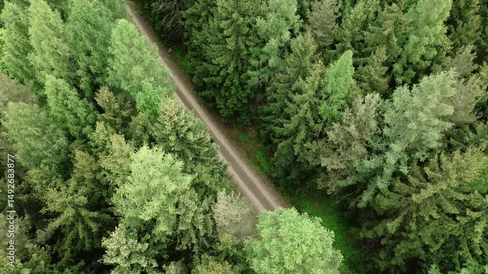Poster revealing a path with a passing person from a drone's perspective in the forest. aerial view