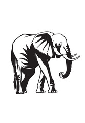 Graphical elephant walking on white background,vector illustration