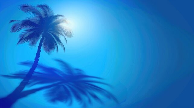 Summer Concept: Palm Tree Shadow on a Blue Background