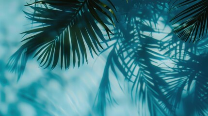 Summer Concept: Palm Tree Shadow on a Blue Background