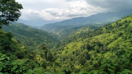 Obraz premium Serene Green Mountain Valley Landscape