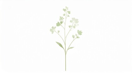 Delicate floral arrangement studio illustration minimalist side view nature beauty