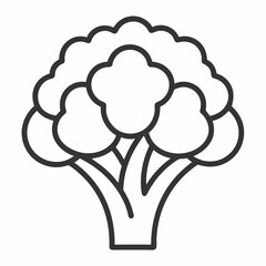 Broccoflower outline  icon on white background
