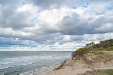 A high slope on the seashore. A sandy shore covered with forest.