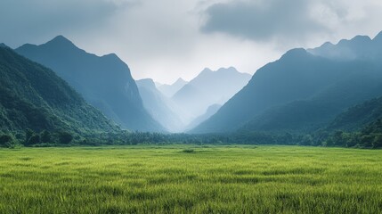 Obraz premium Verdant field meets hazy mountains, a peaceful scenic view of nature. Use for travel blogs, inspirational backgrounds, or ecological projects.