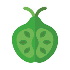 Green guava cross section on black flat vector illustration