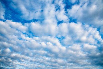 Obraz premium Blue sky fluffy white clouds on summer season bright clear skyline with beautiful cloudscape. Panorama blue sky clouds pattern on daylight with copy space. Cumulus cloudscape air climate sunny day