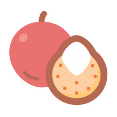 Vector illustration of longan fruit cut open graphic icon