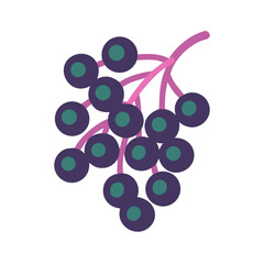 Stylized elderberry branch with berries on a black background