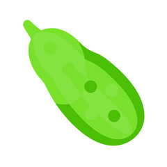 Stylized green squash illustration on black background minimalistic design