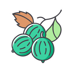 Illustration of three gooseberries on a branch against black