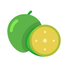 Lime slices flat vector for healthy lifestyle illustration