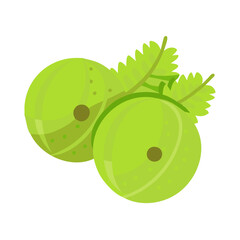 Two fresh gooseberries with leaves isolated on black background