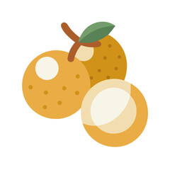 Flat design illustration of three longan fruits on black