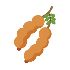 Flat vector illustration of tamarind fruit with leaves on black