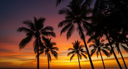Fototapeta premium A stunning sunset paints the sky with vibrant colors behind silhouettes of palm trees on the beach.