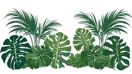 Graceful Silhouette of Exotic Plant Leaves Perfect for Botanical Designs