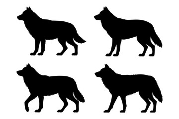 Silhouette of wolf standing and walking poses set