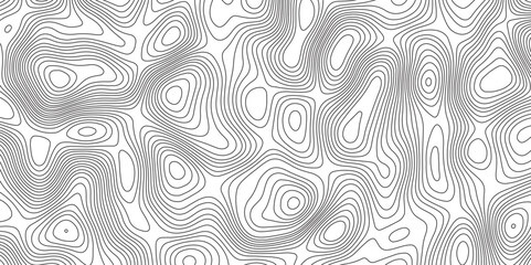 Fototapeta premium Abstract Modern design with White background with topographic wavy pattern design. Geographic abstract grid. Geographic curved, vector illustration.