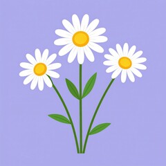 Fototapeta premium Three Daisies: A Simple, Cheerful Floral Illustration
