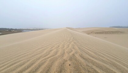 Exploring vast sandy dunes desert landscape nature photography remote environment wide-angle view serenity concept