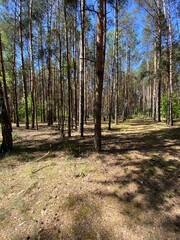 Piękne widoki nad polskimi g&oacute;rami