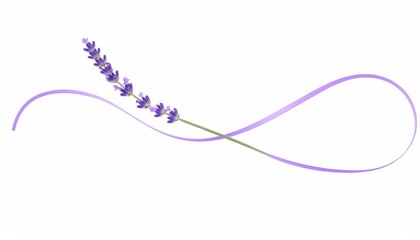 Lavender blooming scene nature floral photography serene environment close-up tranquility and beauty