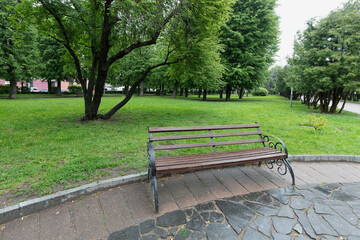Fototapeta premium Park bench in a green park.