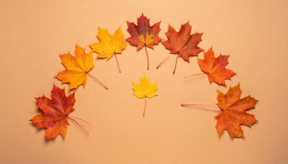 Fototapeta premium Autumn leaves arrangement nature studio photography vibrant colors close-up seasonal beauty