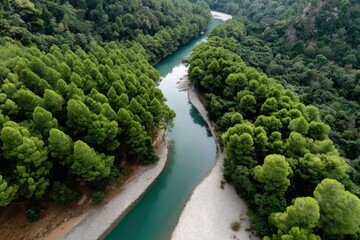 Lush green pines line a serene river flowing through a tranquil forest landscape in summertime