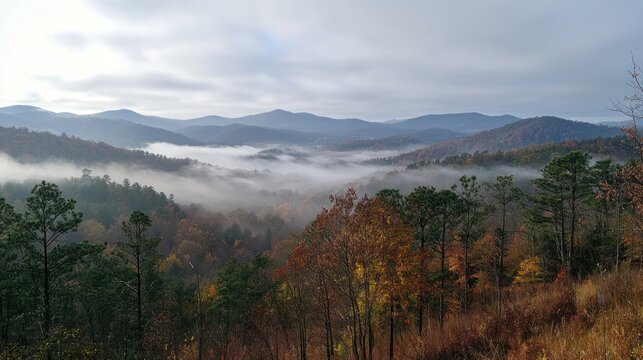 A foggy morning in the mountains, with mist rolling over the forested hills