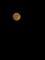 full moon in the night