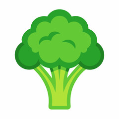 Broccoli icon on white background