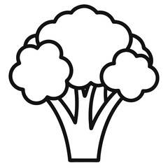 Broccoli outline icon on white background