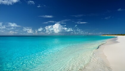 Fototapeta premium tropical beach in bimini the bahamas