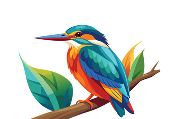 Obraz premium kingfisher on branch isolated on white background