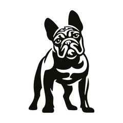 French Bulldog silhouette icon. Standing dog black logo vector illustration
