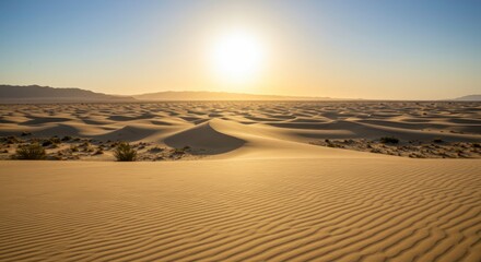 Naklejka premium Majestic Desert Sunset Rolling Sand Dunes Landscape at Golden Hour