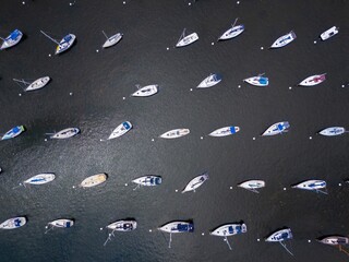 Miami Coconut Grove mooring field. Aerial Miami drone photo