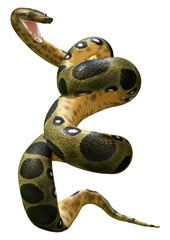 Fototapeta premium 3D Rendering Green Anaconda on White