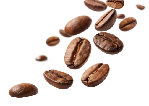 Falling realistic coffee beans isolated on transparent background. Flying defocusing coffee grains. Applicable for cafe advertising, package, menu design