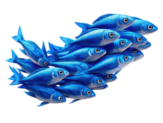 Blue Fish shoal: A group of vivid blue fish swimming in perfect synchronization. Displaying seamless unity and teamwork in an abstract environment.