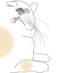cat drawing line